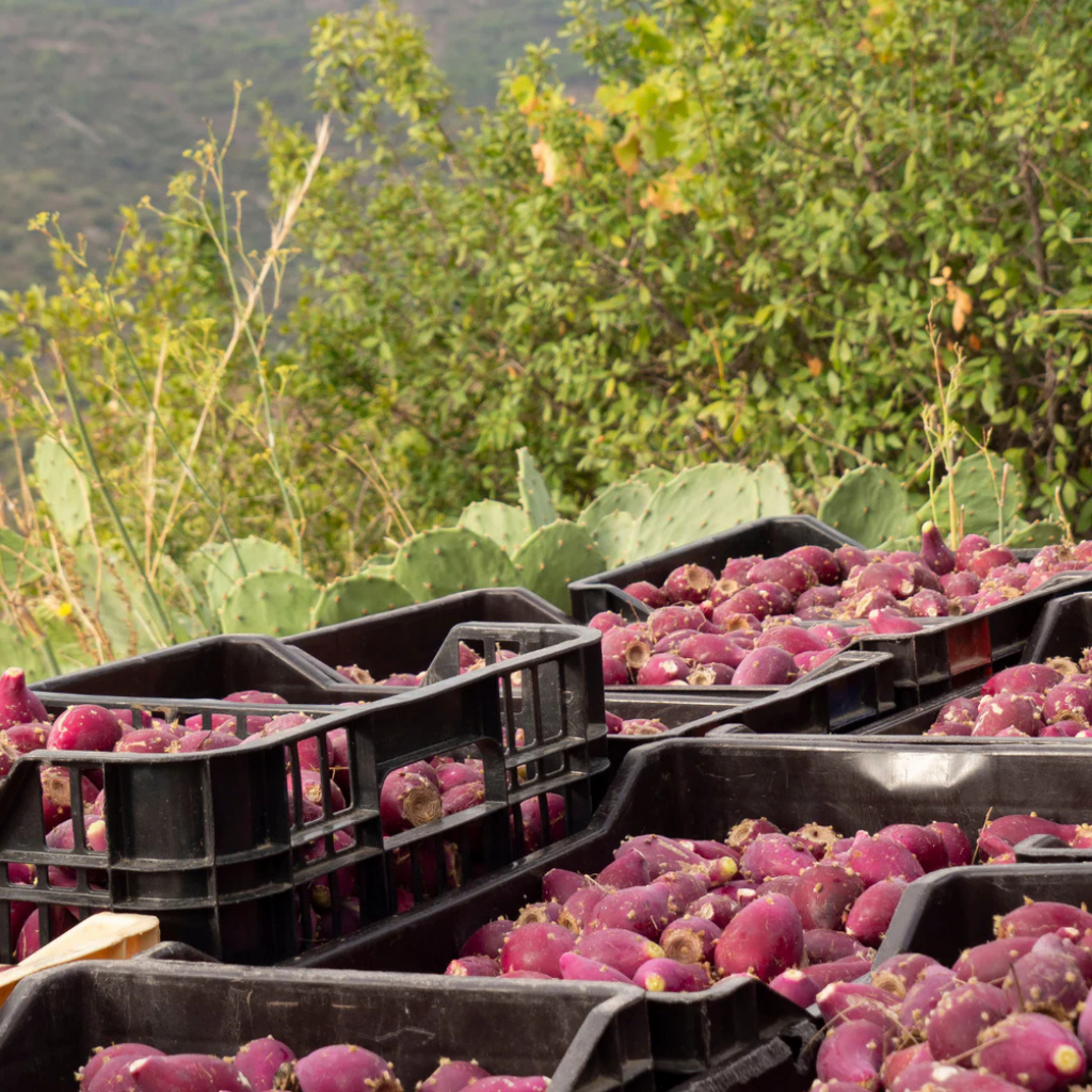 Precious Contour - Siluv ja noorendav erihooldus silma- ja huuleümbrusele