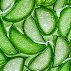 Sügavniisutav seerum Prantsuse Aloe Vera ja hüaluroonhappega