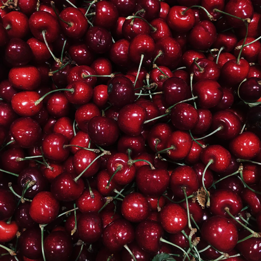 Close-up of a pile of red cherries with stems.