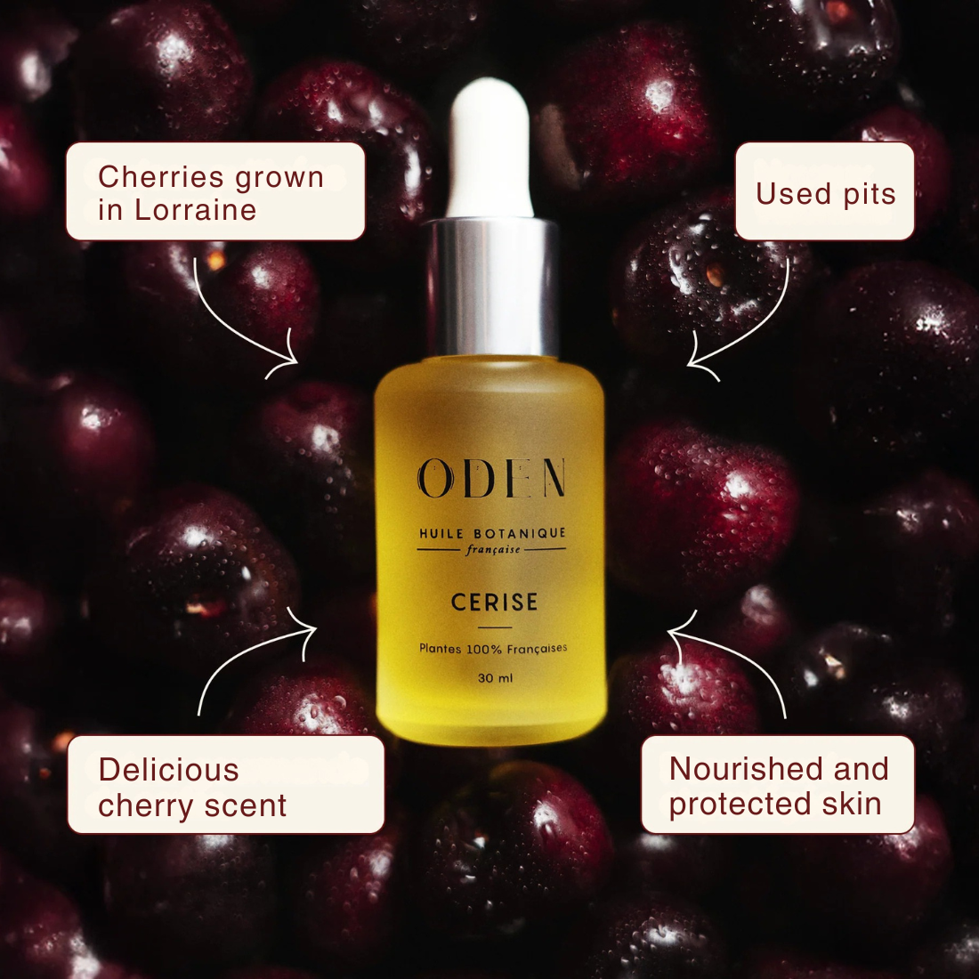 ODEN skincare oil bottle surrounded by cherries with text about product features.