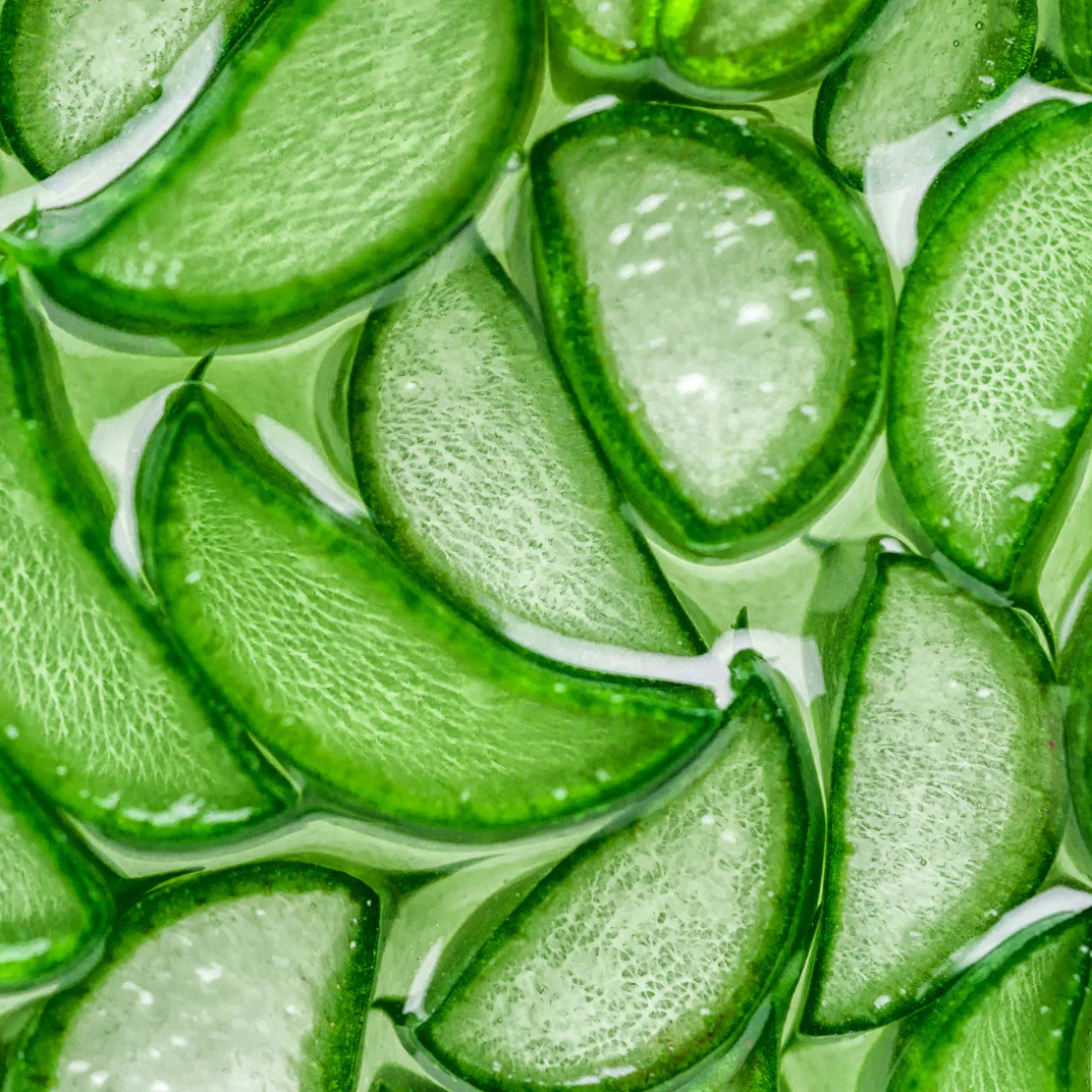 Close-up of sliced green aloe vera with a close-up view